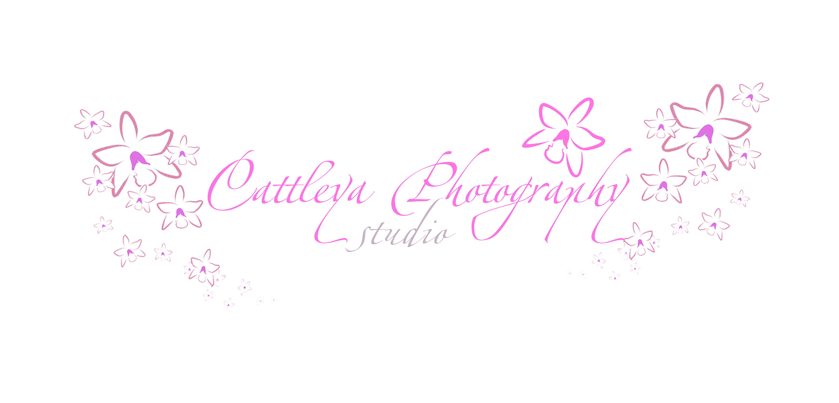 CattleyaStudiobg.com